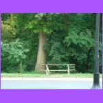 Place For Cheryle To Play.jpg